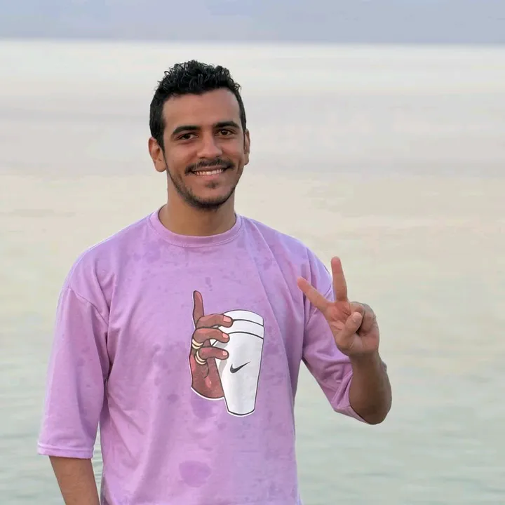 mahmoud_elhussieny