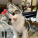 @vinece09