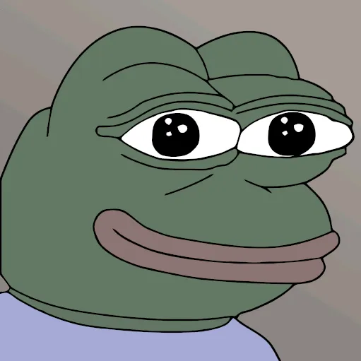 mr.meme229
