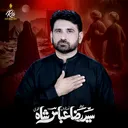 @syedrazaabbasshah_