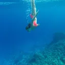 @alidasoljemo