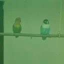 @userl8y6ag6taw