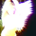 @wingsg0ne