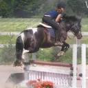 @valiant.equestrian_em