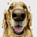 @_oden_the_golden_