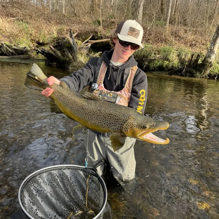holstonnativeflyfishing