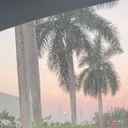 @vids4youtoo
