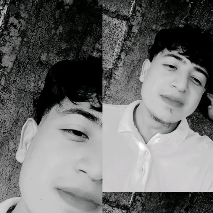 @gustavo22hn