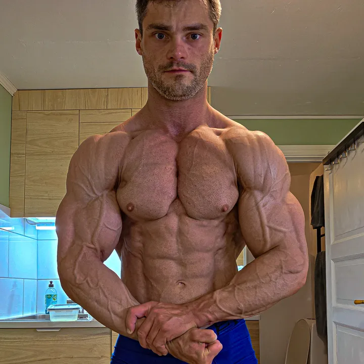 @emilslocmelis_