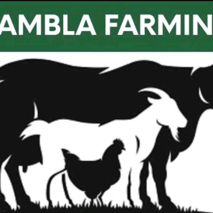 samblafarming