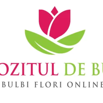 depozituldebulbi