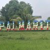 palmaritoficial