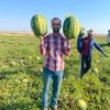halk.yesin