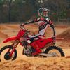 dmaxpat