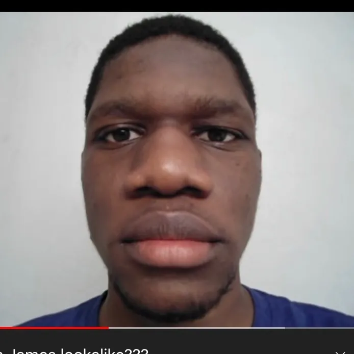 @bongotok13