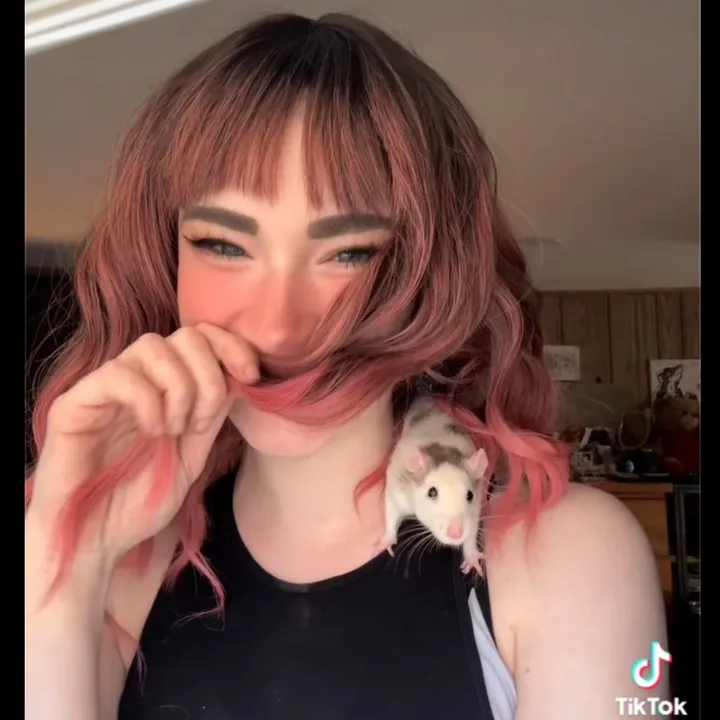 lookatmyrodents