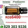 lareynadelosaceites