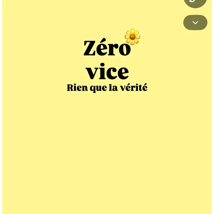 vice_zerooooo