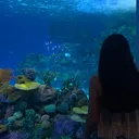 @madelyn.dnd
