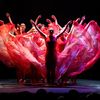delawaredancecomp