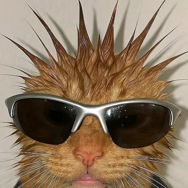 @spexter_morgsn