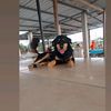 rosii_2675