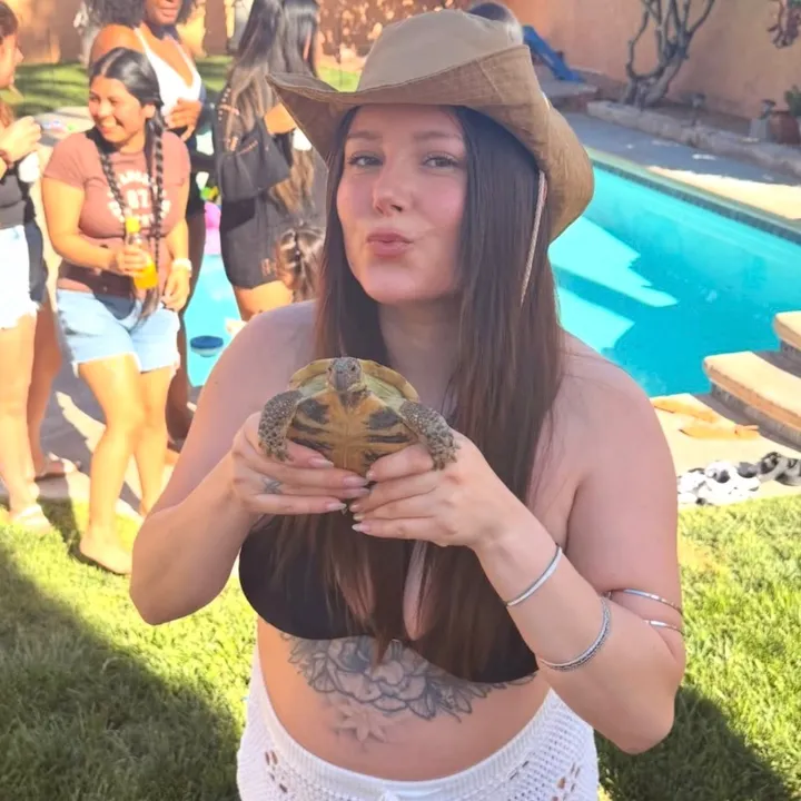 pitathechip