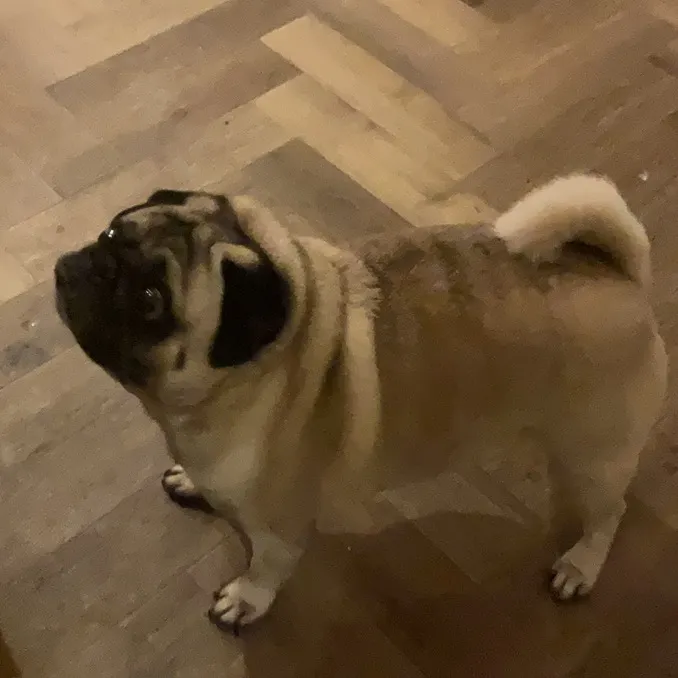 bob.bacon.plays
