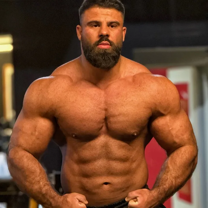 reza_silverback