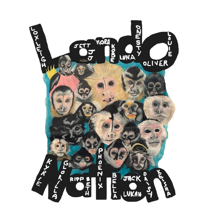 lando_nation0