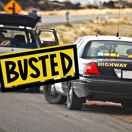 roadcatches