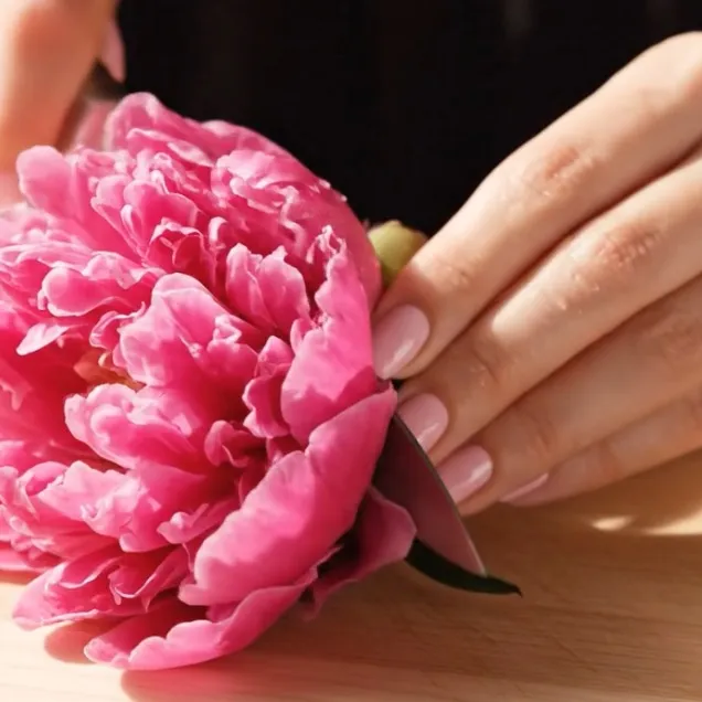 bouquet.asmr
