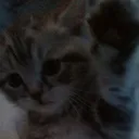 @x_zoraaaa_x