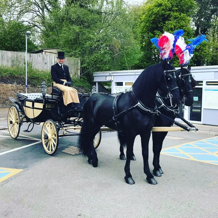 @sonnyhillierhorsedrawn