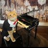 catnamedsimon
