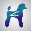 thecreativegroomer