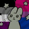 anabellesearch1