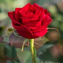 @andy635400