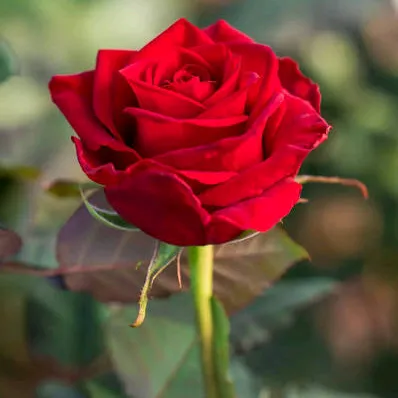 @andy635400