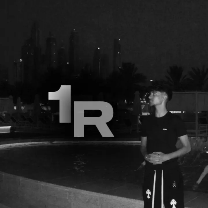 @1rohin