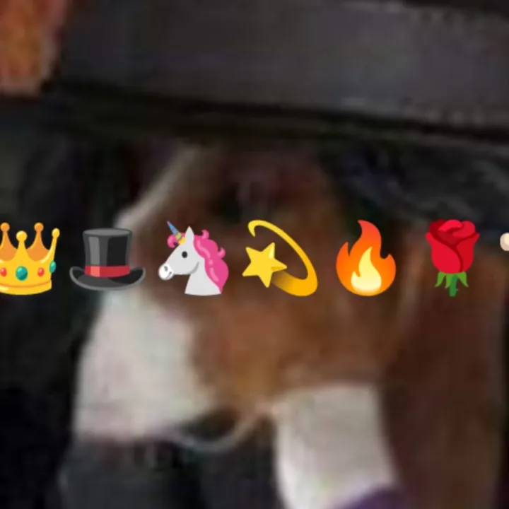 fhfhjjjdg