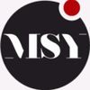 msy_invest