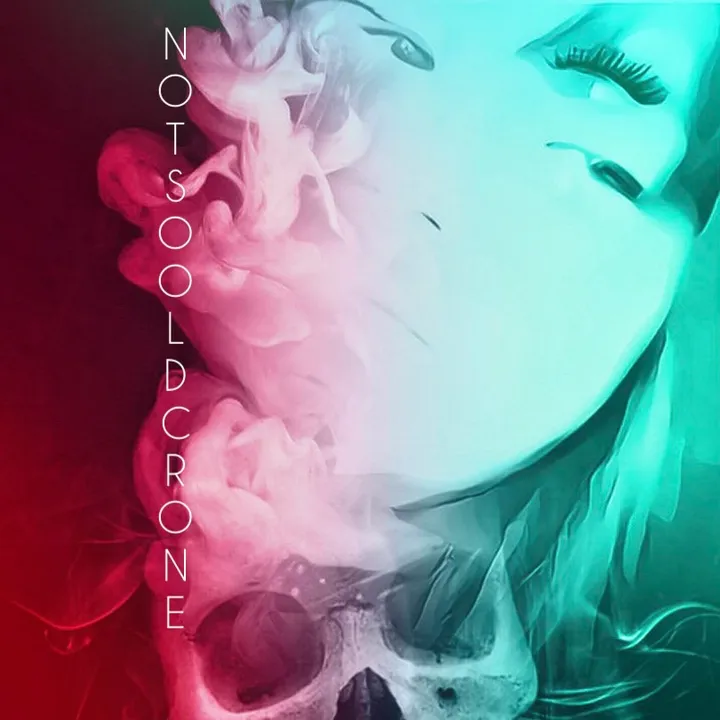 thenotsooldcrone