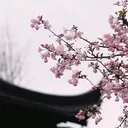 @me.aksii