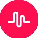 @musically_vibeees
