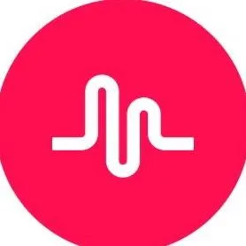 @musically_vibeees