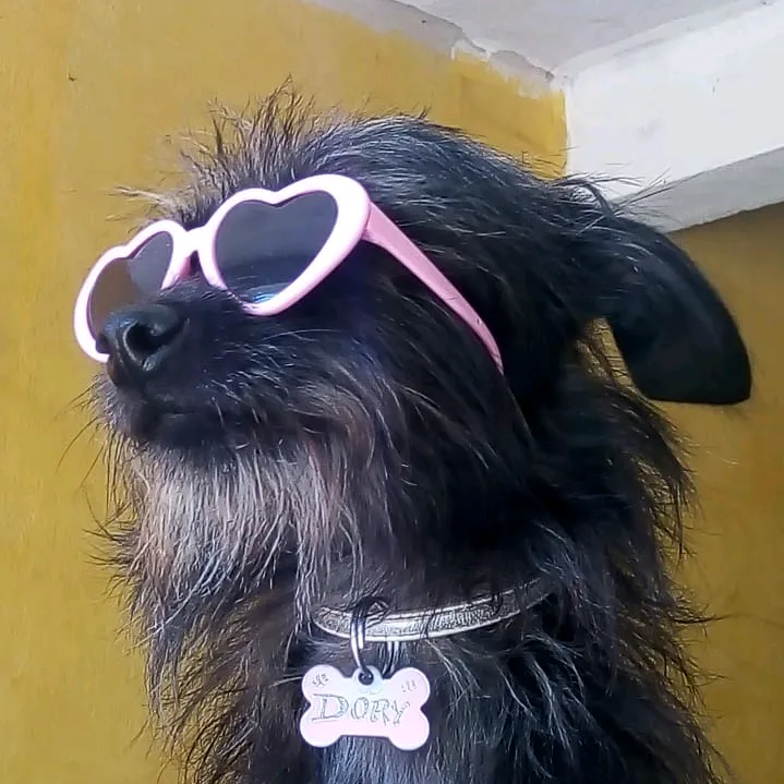 la_yoyi_dori