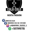 @indumentaria_colocolo_6