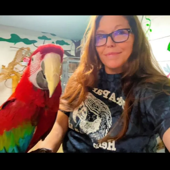 @thecrystalparrot