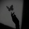 _____allison____